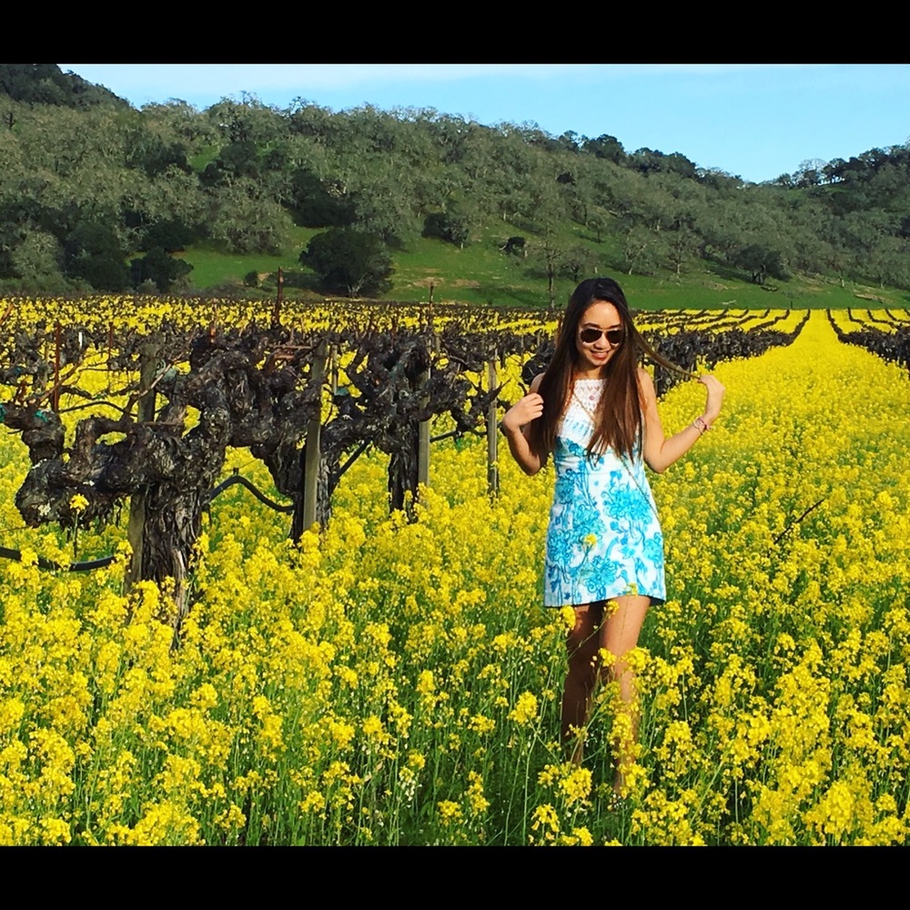 Lilly Pulitzer Pearl Lace Neck Shift Dress size 00